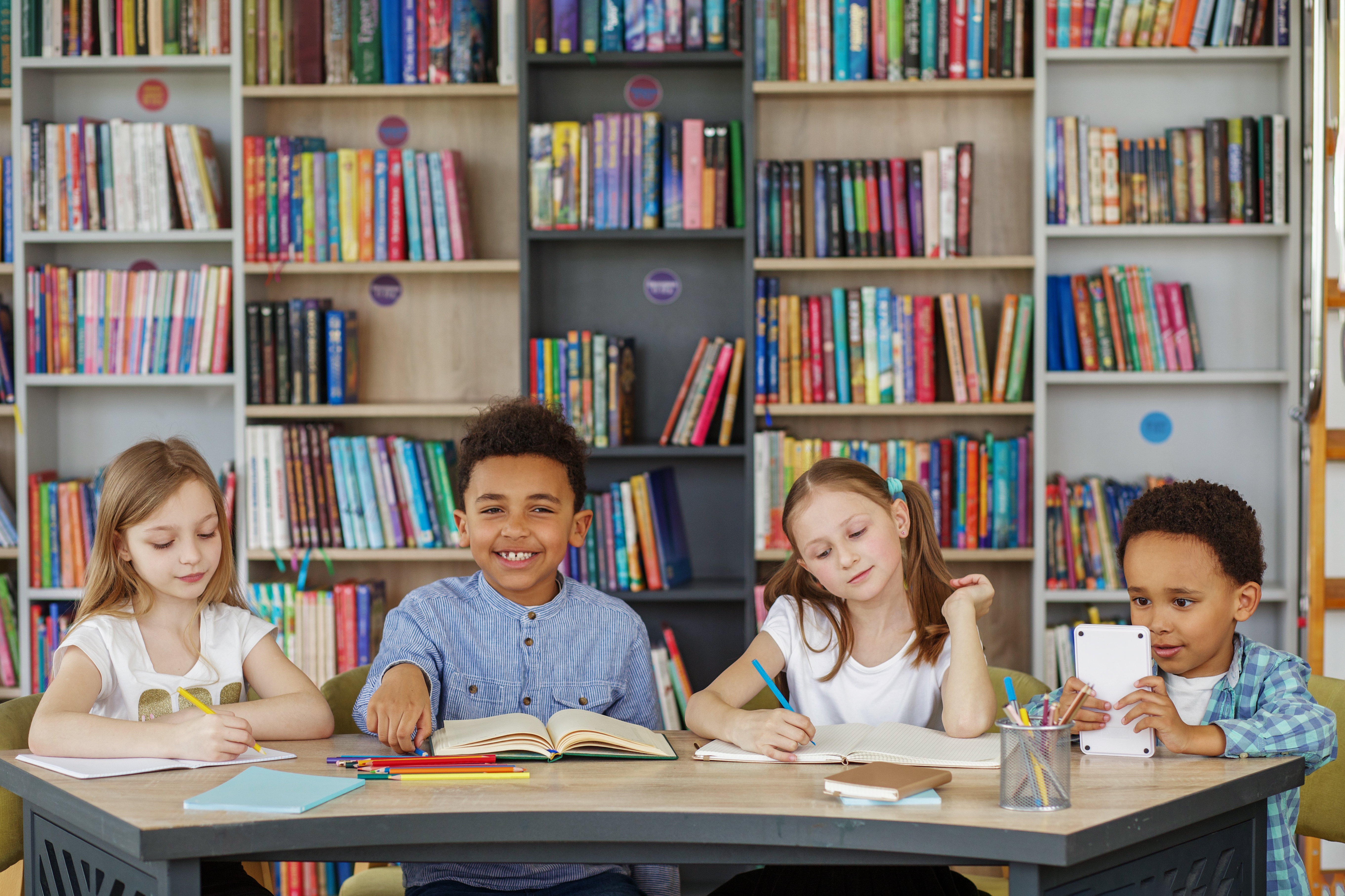 How School Libraries Support Academic Excellence and Personal Growth